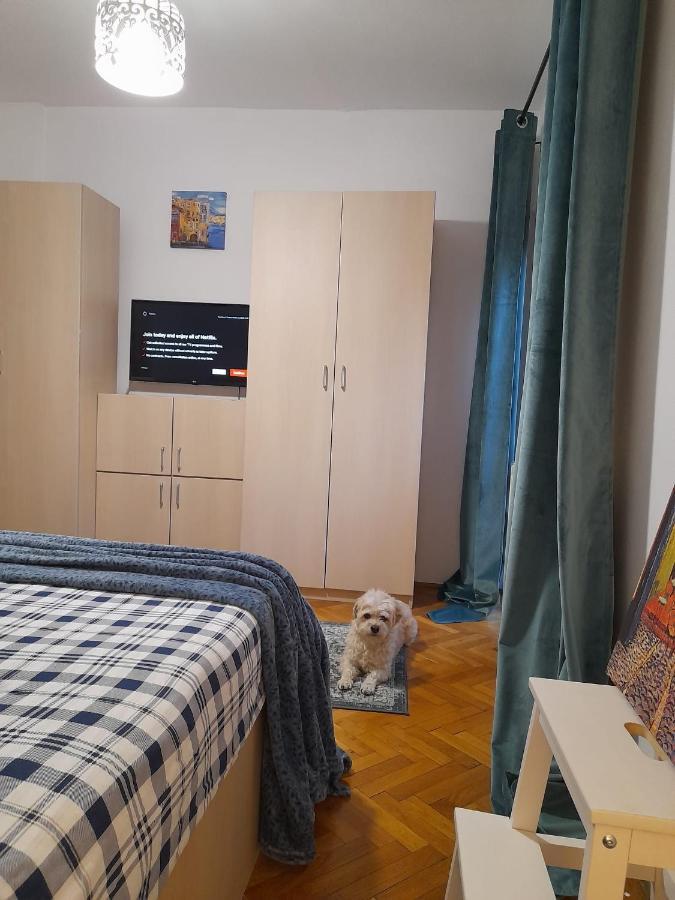 Apartmán La Rossa Brašov Exteriér fotografie